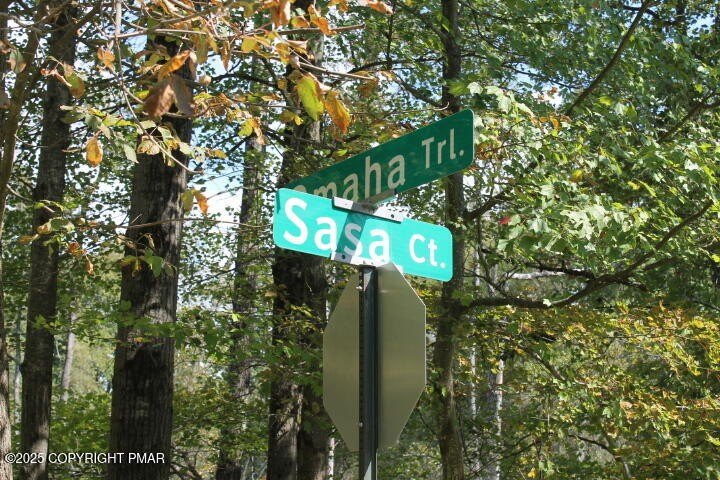 Pocono Lake Wooded Lot