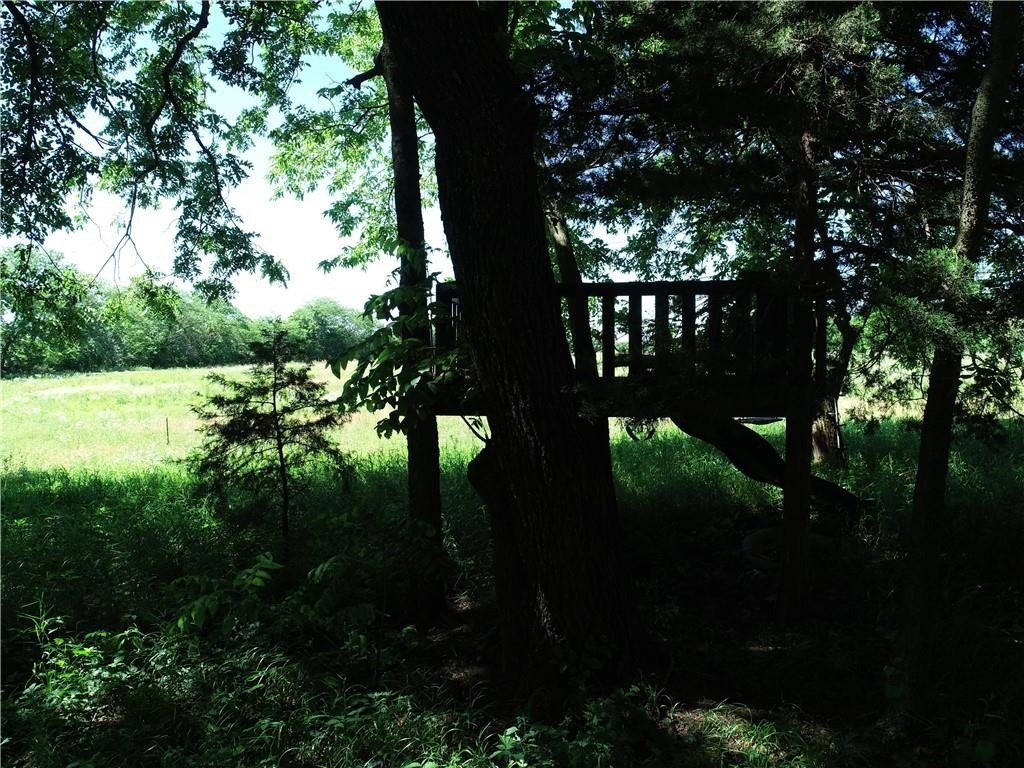 Picture 15
