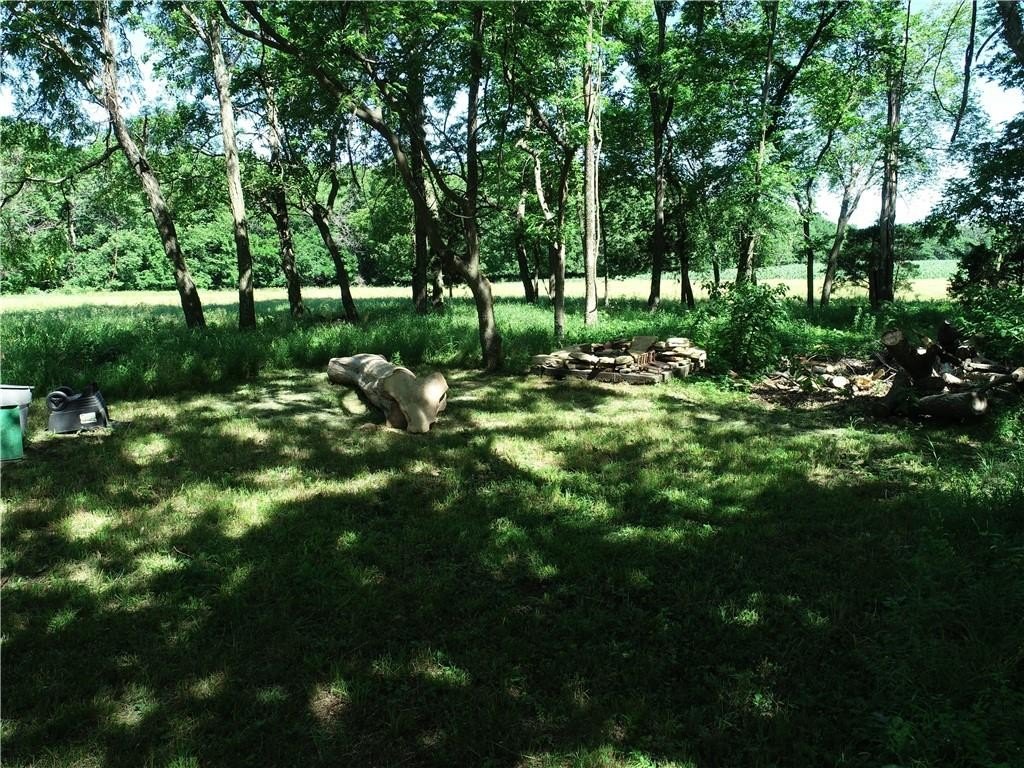 Picture 3