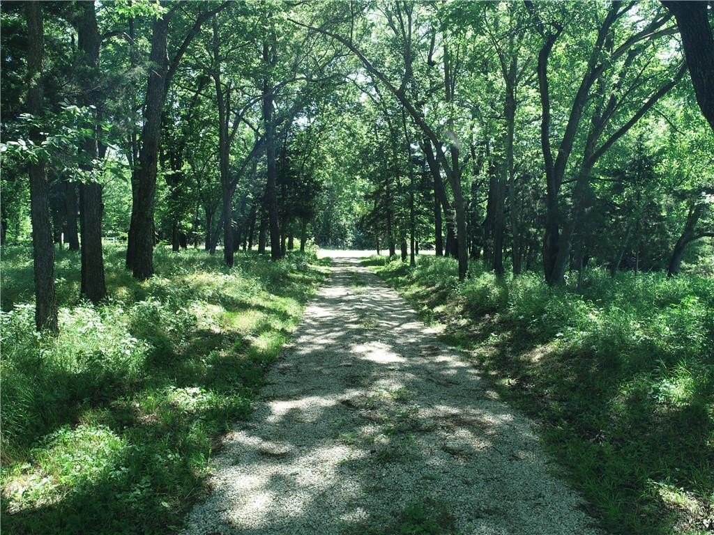 Picture 24