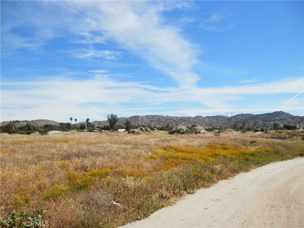 Picture 15