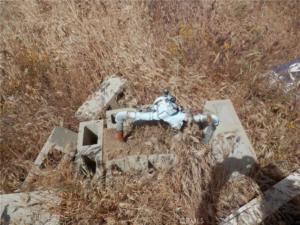Picture 21