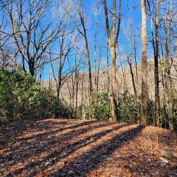 Unrestricted Land in Cowee Community