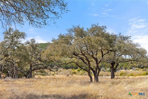 Texas Hill Country Ranch Land