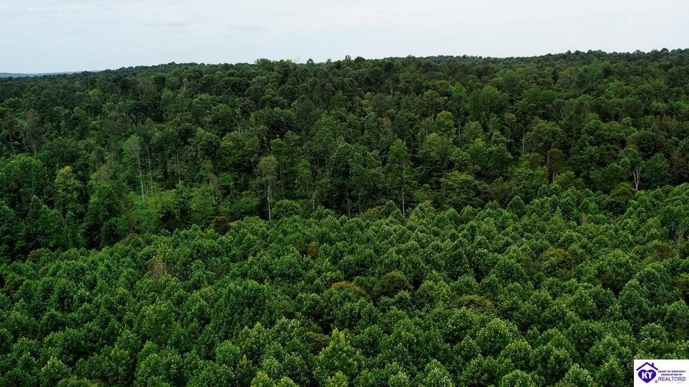 Secluded Acreage in Cromwell, Kentucky