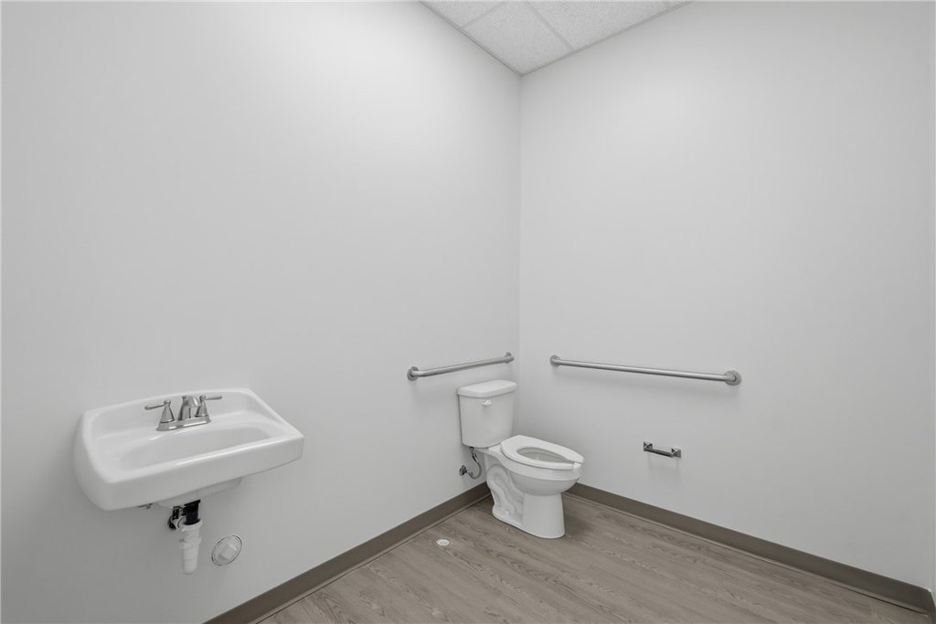 Picture 8
