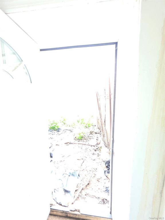 Picture 23