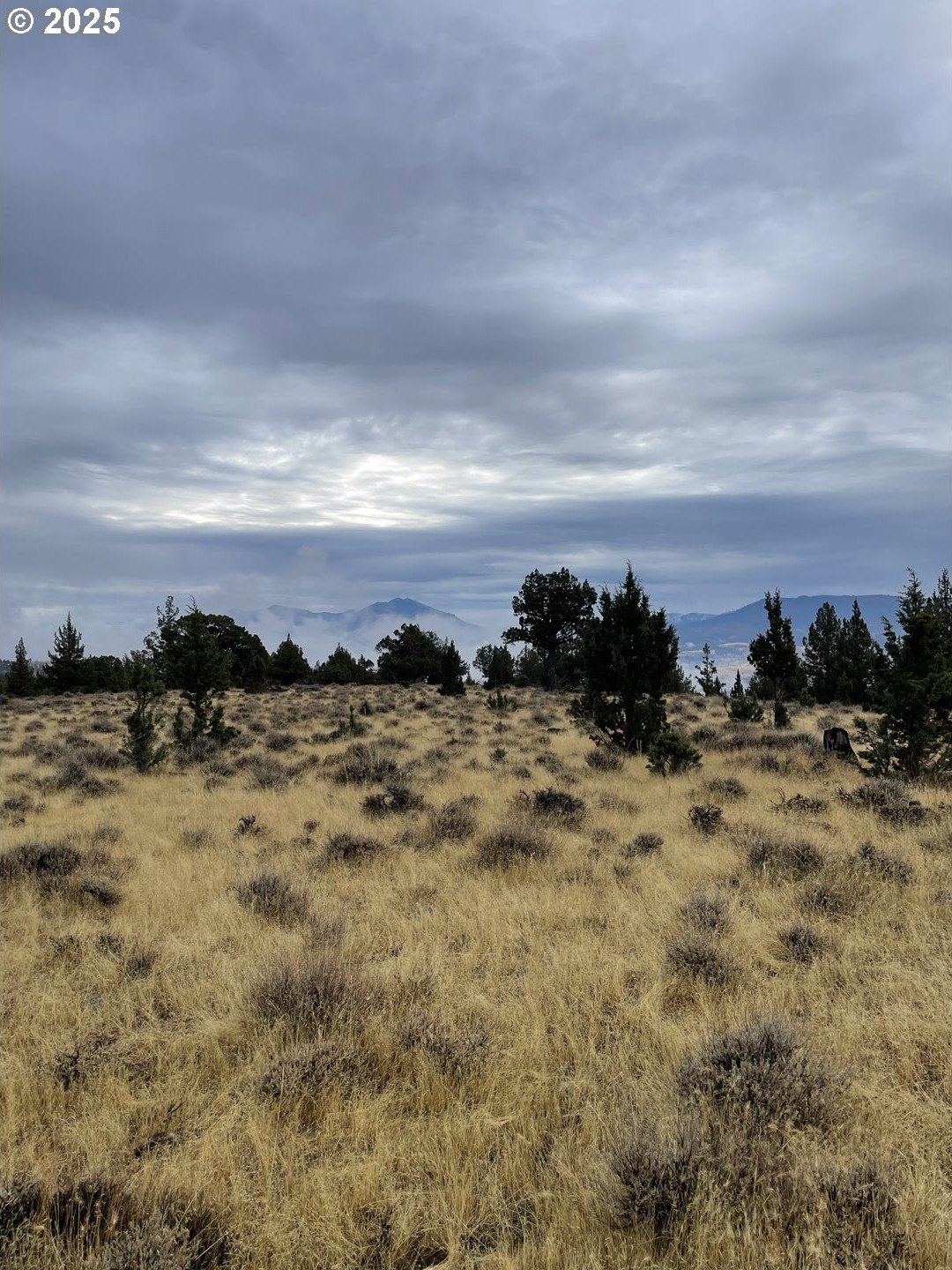 80-Acre Hunting Land Parcel
