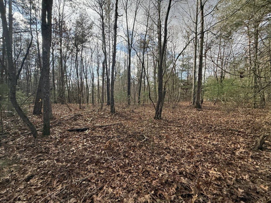 Picture 17