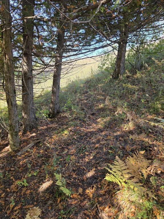 Picture 16