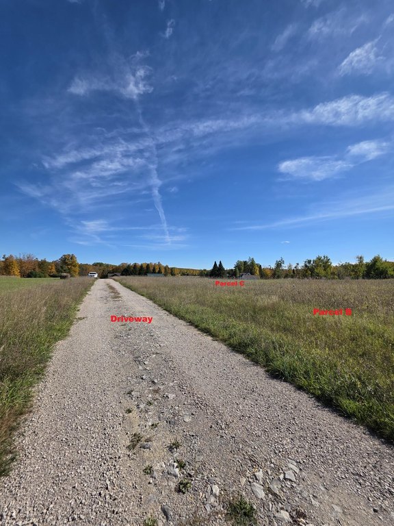 Picture 21