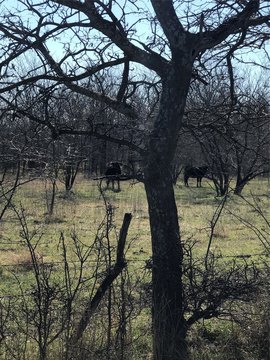 Ranch & Farm Land with Ponds