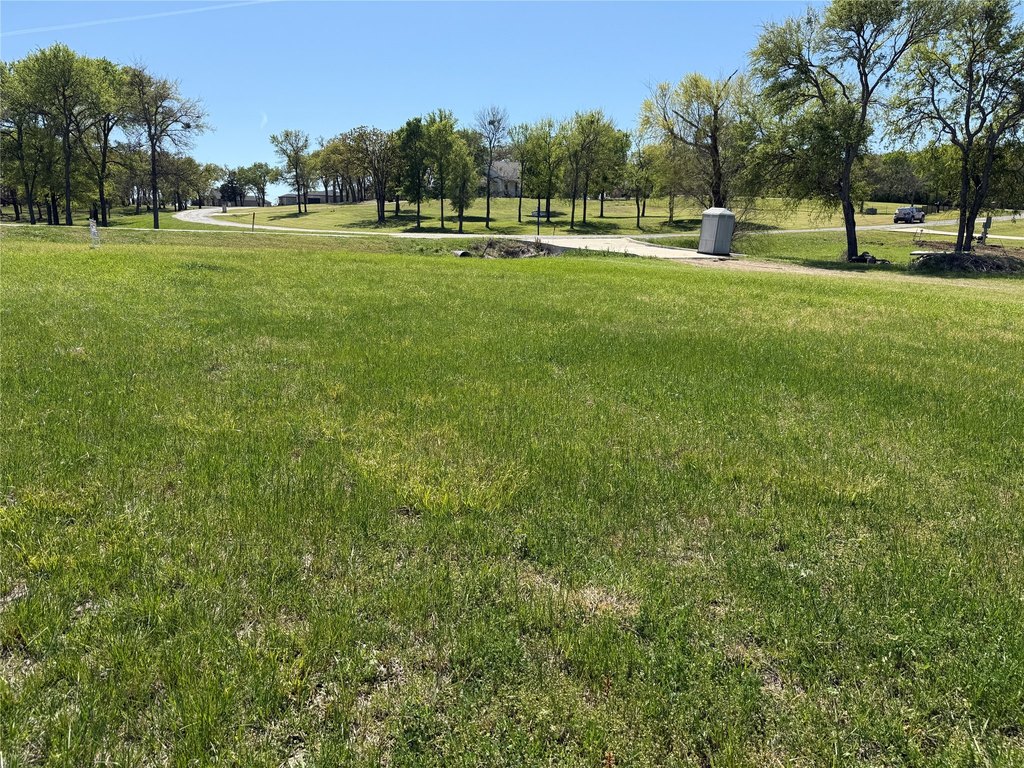 Picture 29
