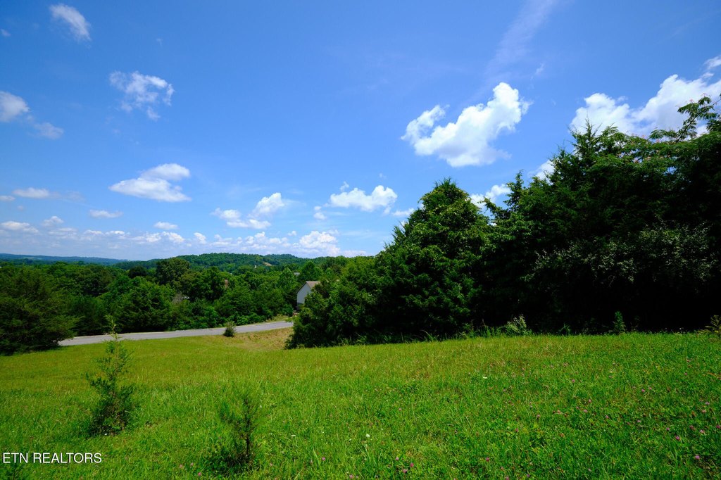 Picture 8