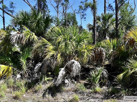 Land, NORTH PORT, FL