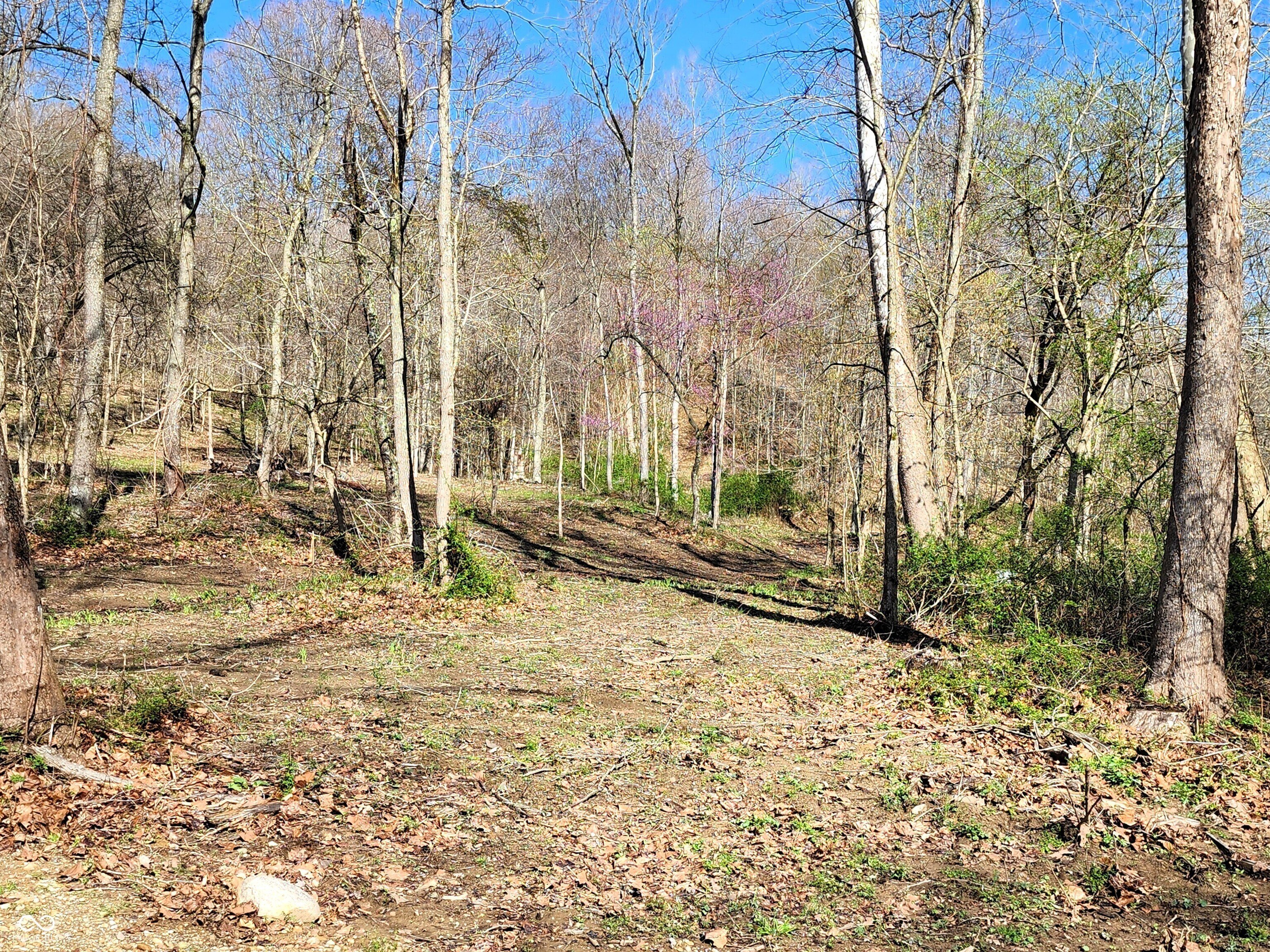 Tranquil 5.3 Acre Homesite