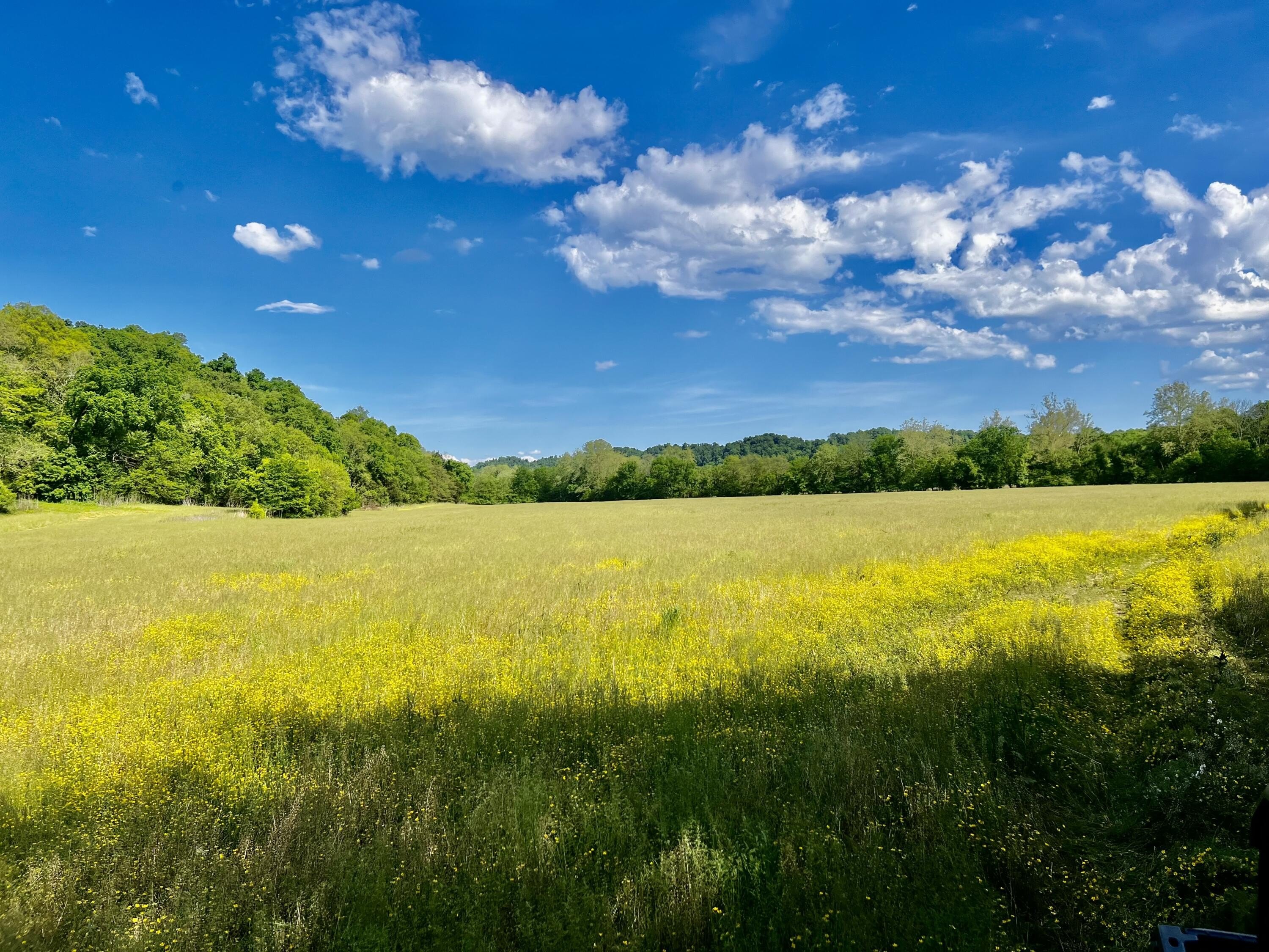 Mohawk, TN Land Opportunity