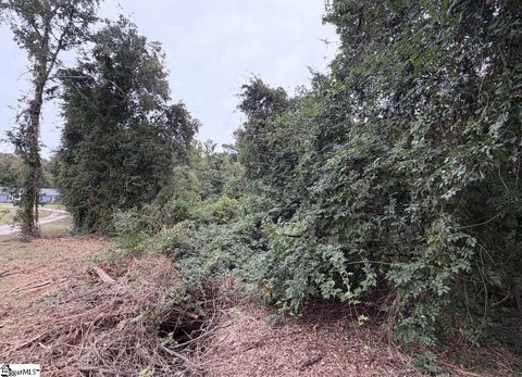 Lots/Land, Woodruff, SC