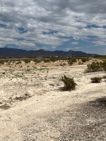 Picture 10