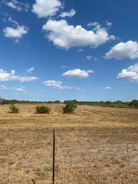 Land, Alice, TX