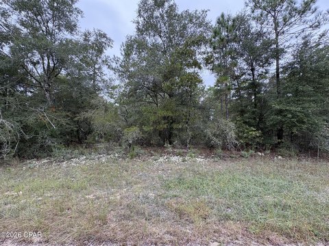 Land, Chipley, FL