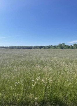 Residential Land in Edgewater