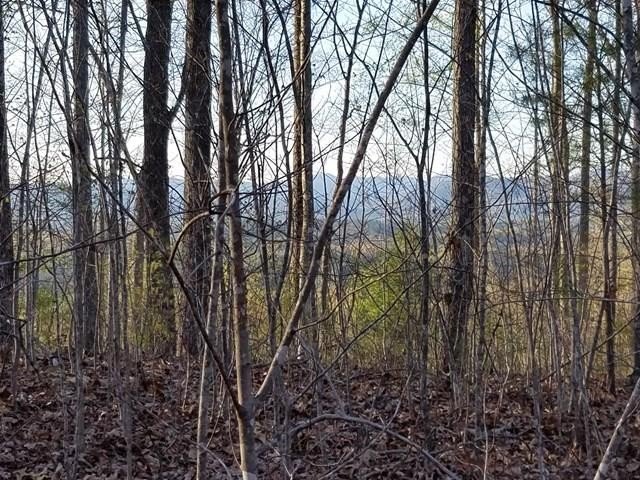 Mountain View Lot in Murphy