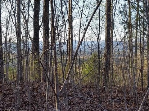Mountain View Lot in Murphy