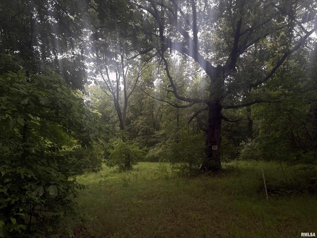 Picture 27