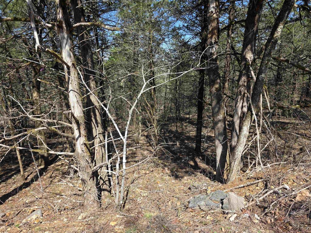 Picture 10