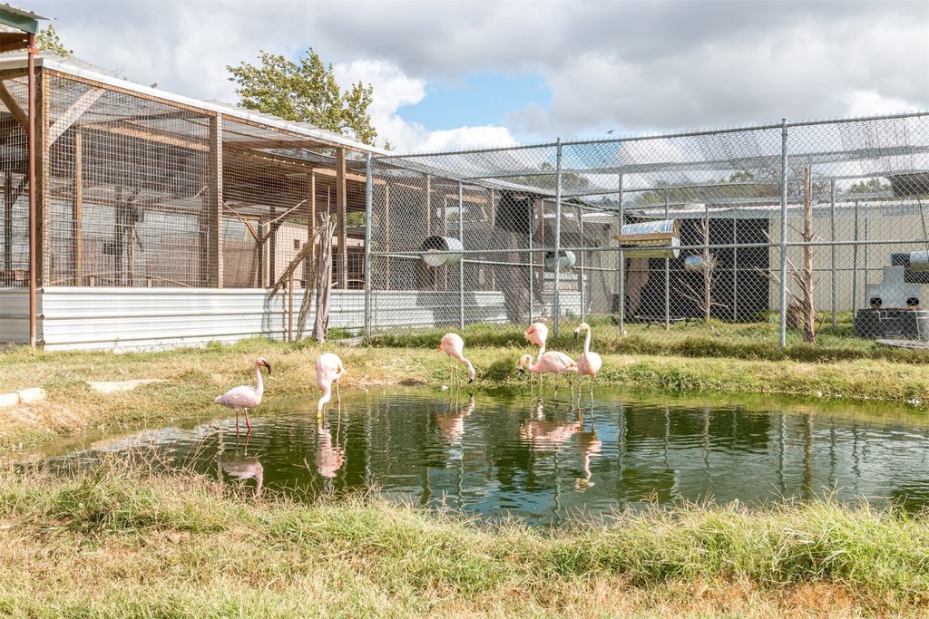 Picture 21