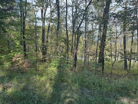 Crossville, TN Wooded Acreage