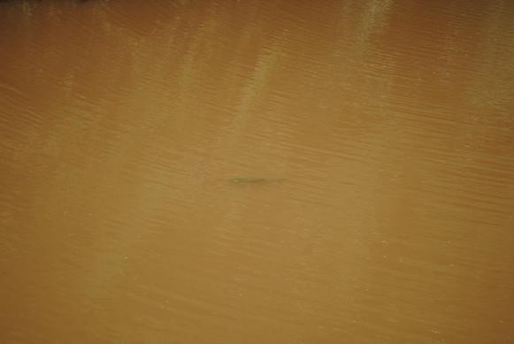 Picture 36