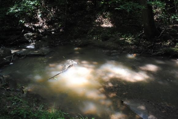 Picture 46