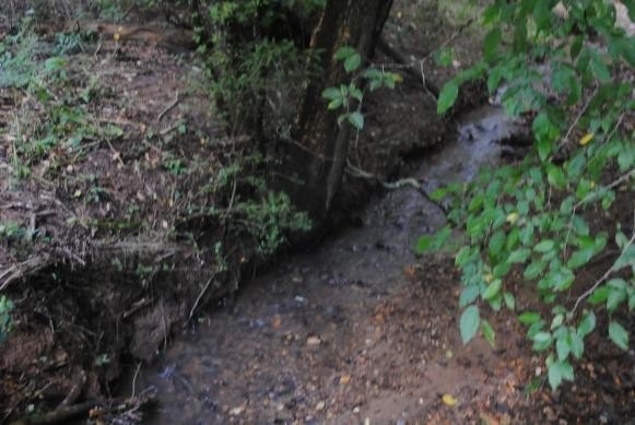 Picture 44