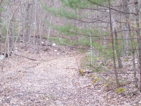 Residential Land in Mountain Community