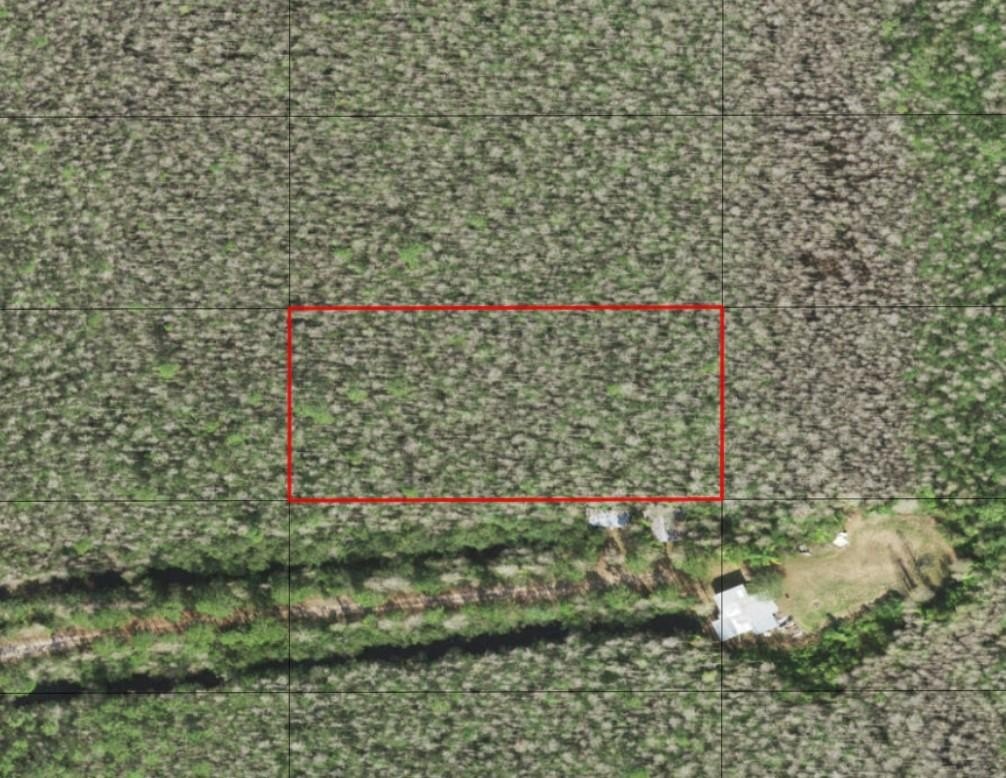 Recreational Land in Holopaw Estates