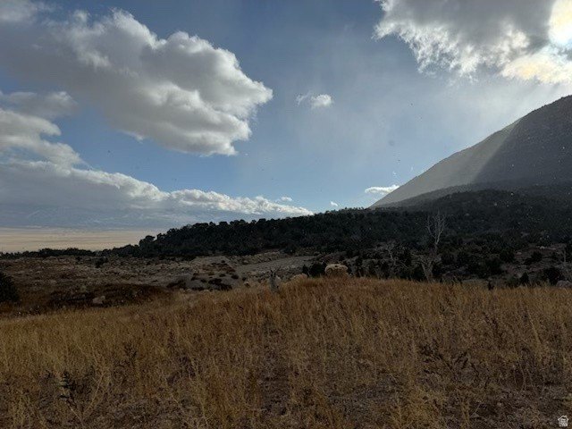 160 Acres Agricultural Land