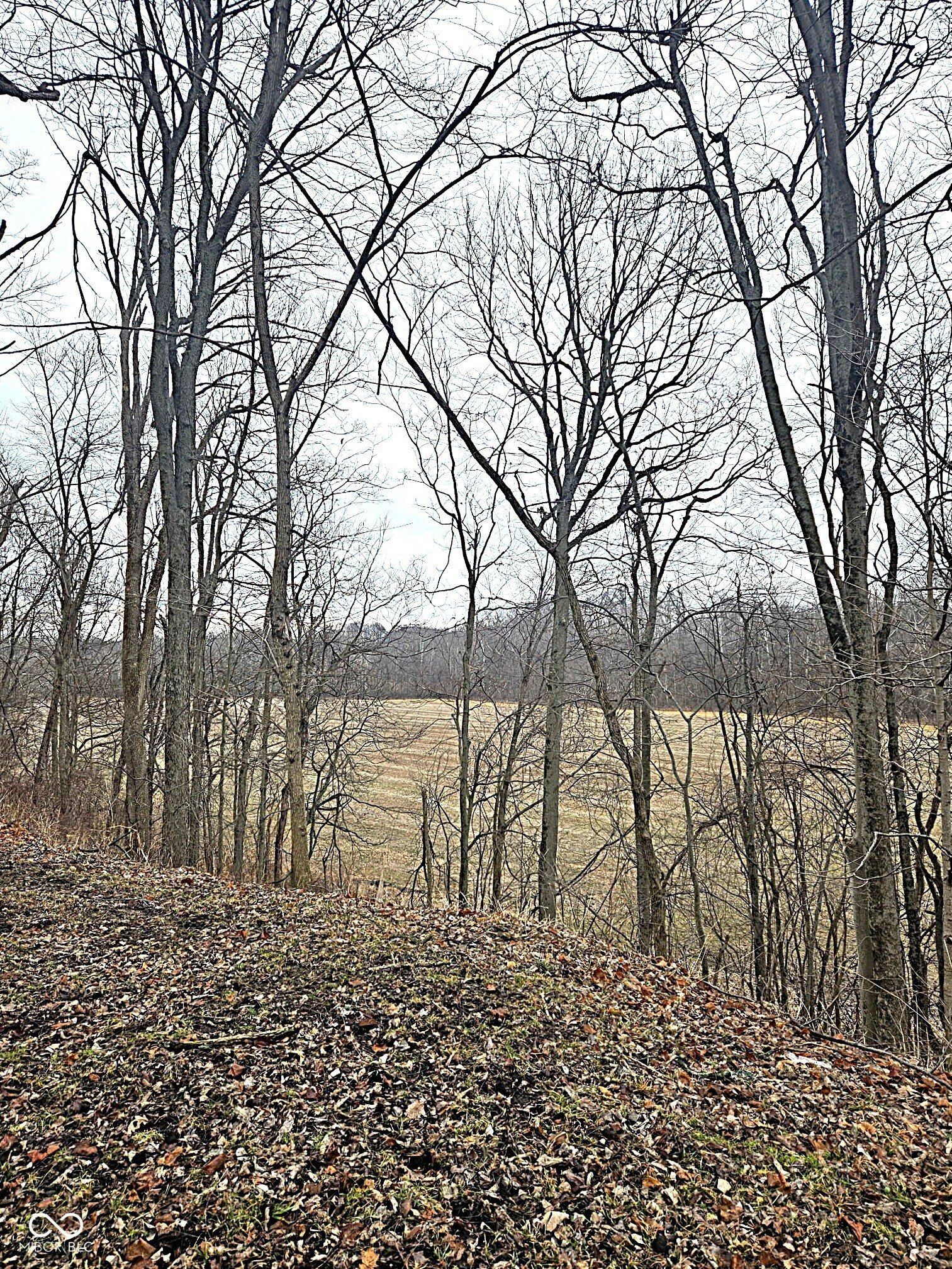 Bainbridge Farm For Sale