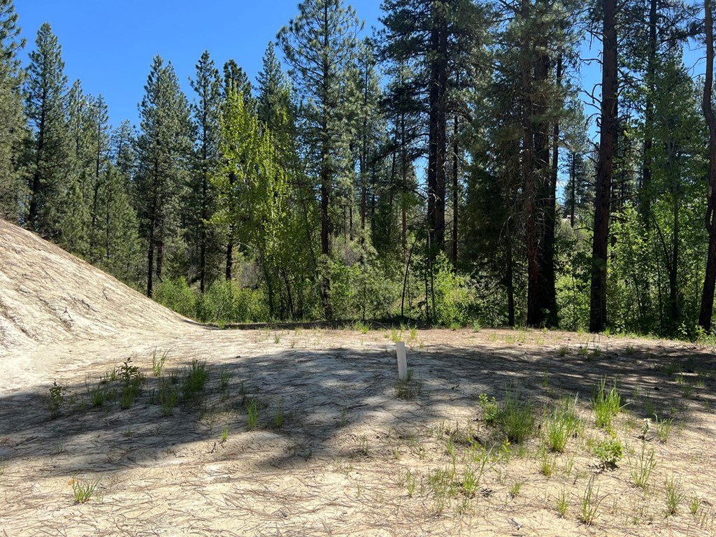 Picture 11
