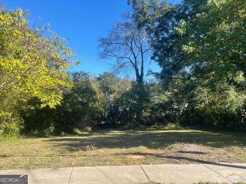 Atlanta Land Opportunity