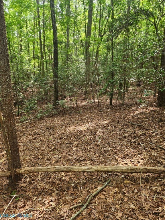 Picture 13