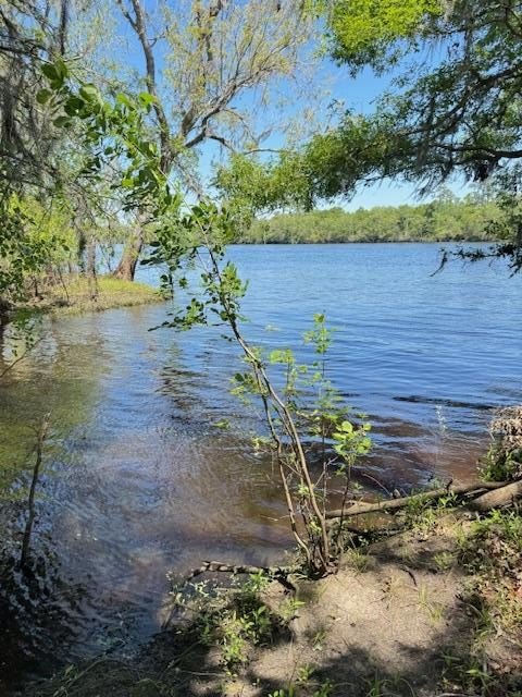 Picture 25