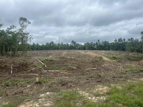 LAND - Columbia, MS