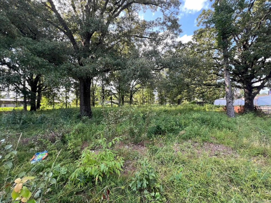 Picture 17