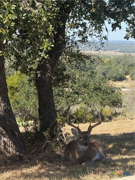 LAND - Canyon Lake, TX