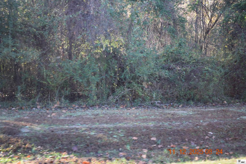 Picture 7