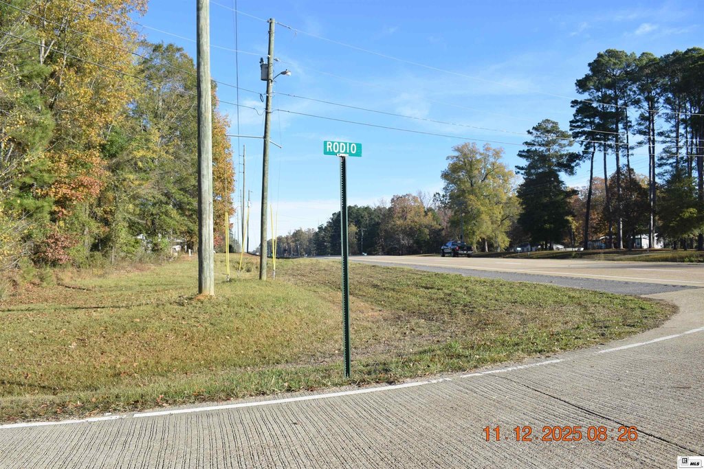 Picture 11