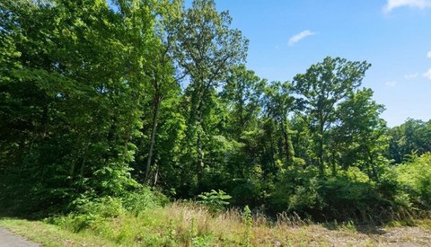 Land, Decatur, AL