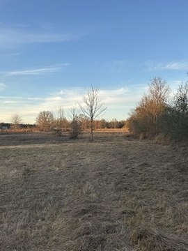 Lots/Land, Poplarville, MS